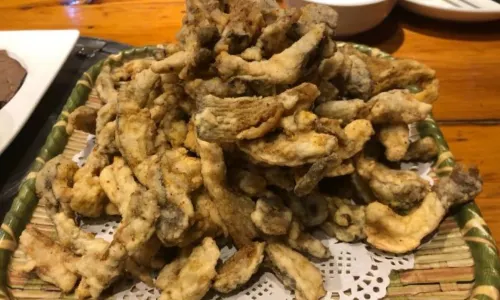 Husiliangnongjiayan (tiexi)