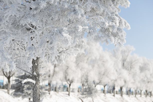Rime Corridor