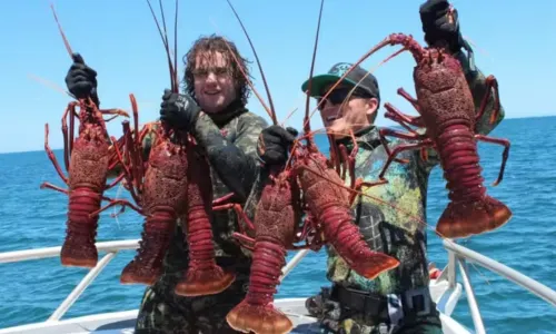 Sea Angling in Adelaide