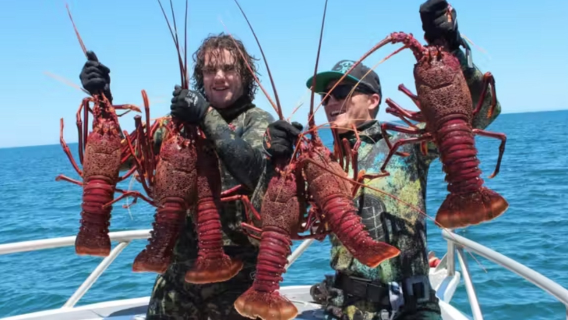 Sea-fishing in Adelaide