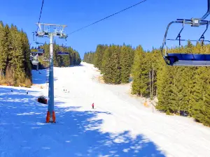 Ski-Waldheimat Hauereck