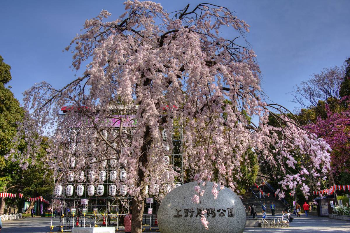 上野公園