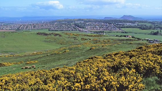 Holyrood Park