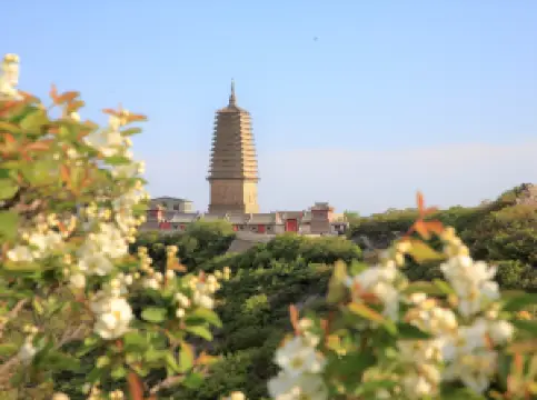 ภูเขาไฟ Phoenix เจ้าพระยา