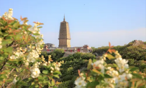 Chaoyang Phoenix Mountain