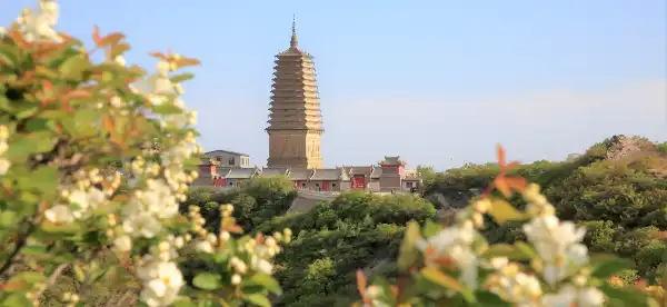 Hotels near Chaoyang Airport Terminal