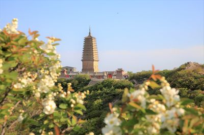 Chaoyang Phoenix Mountain