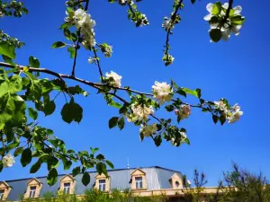 Chateau Changyu Baron Balboa