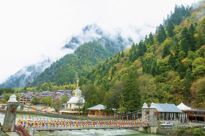 Naizigoucun