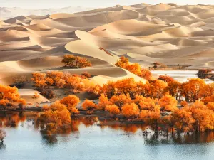 타클라마칸 사막