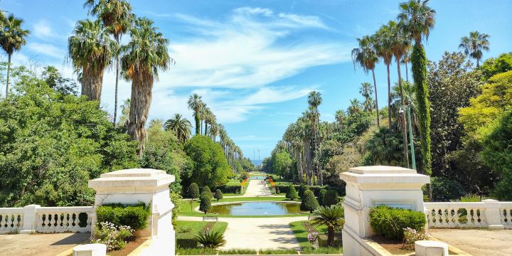 Jardin d'Essai du Hamma