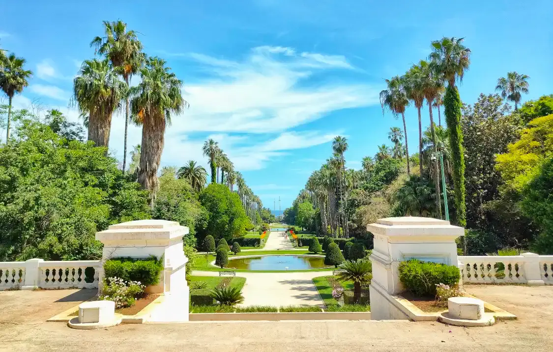 Hôtels à proximité de : Jardin d'Essai du Hamma حديقة التجارب الحامّة