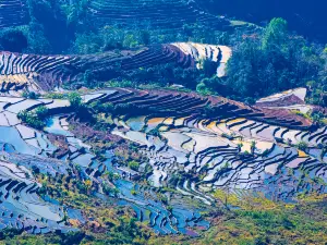 タイガースピットテラス