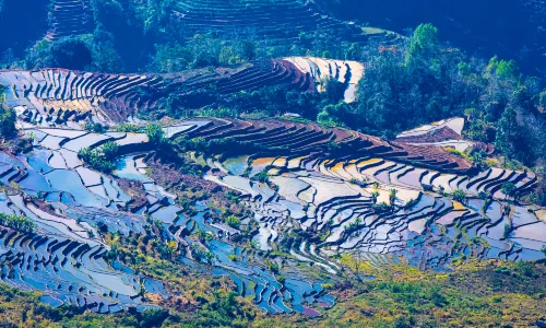 Laohuzui Terraced Field Scenic Area