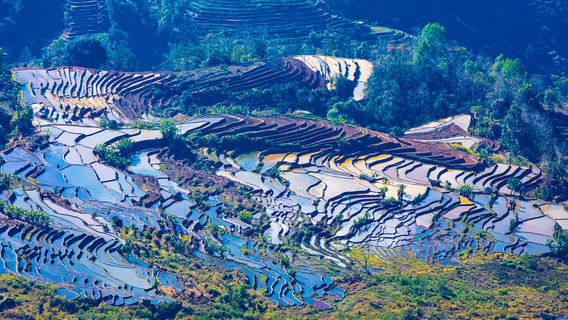 Laohuzui Terraced Field Scenic Area