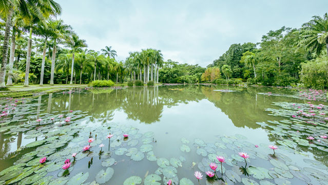 Xishuangbanna Tropical Botanical Garden, Chinese Academy of Sciences - East Tour Area