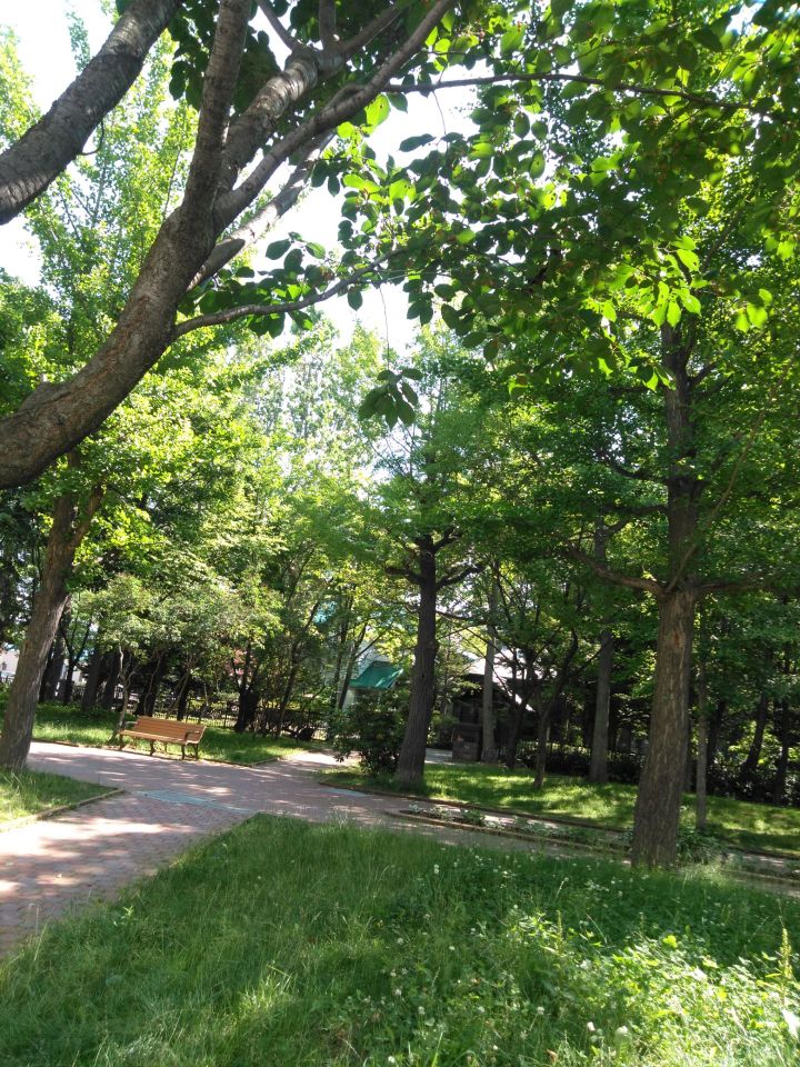 札幌 永山記念公園 評判 案内 トリップドットコム 札幌 永山記念公園 評判 案内 トリップドットコム