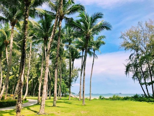 A moment in time in paradise 