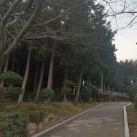 도심 속 휴식공간, 용지호수