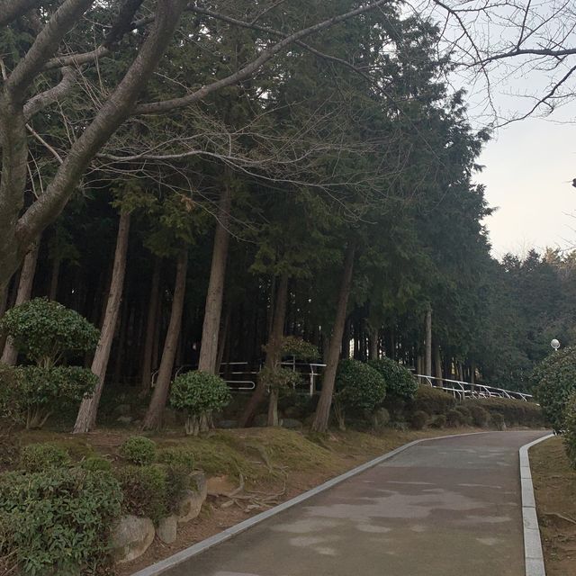 도심 속 휴식공간, 용지호수