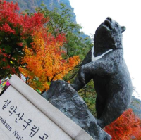 南韓 雪嶽山 韓國最高國家公園