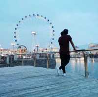 Ferris Wheel 