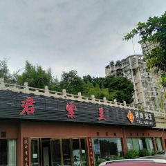 君紫兰 User Photo