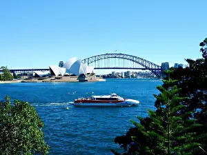 Mrs Macquarie's Chair