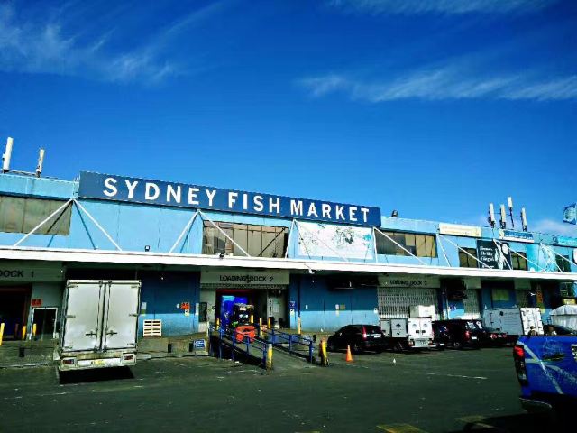 Sydney Fish Market