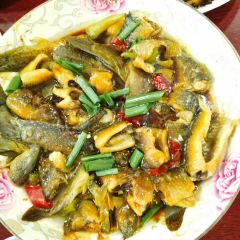 Dog Geum Wheat Noodles User Photo