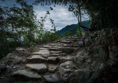 二郎山茶馬古道