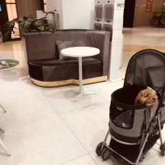 卡士(邵东总代理) User Photo