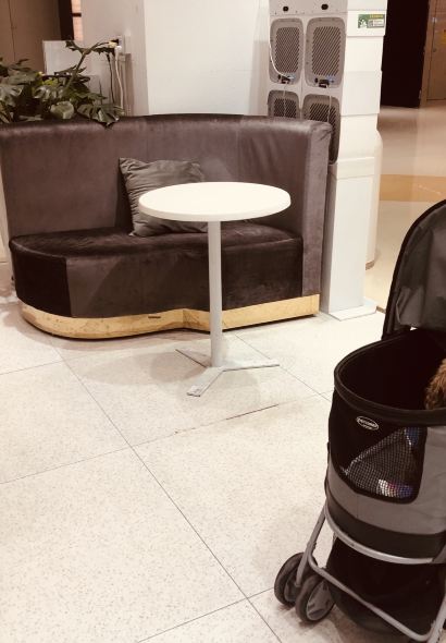 卡士(邵东总代理)