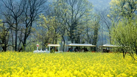 墨潭桃花島