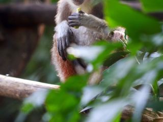 폴스 파크 근처 호텔