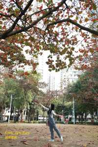 [ #香港好去處] 偽 #台灣之旅+ #在海中心呼喚愛