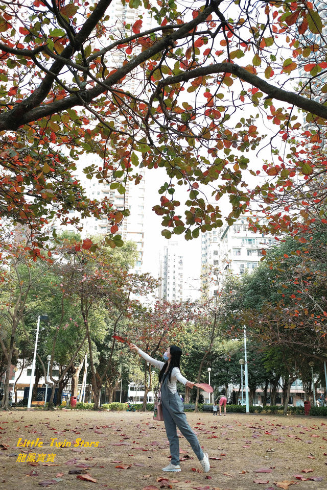 [ #香港好去處] 偽 #台灣之旅+ #在海中心呼喚愛