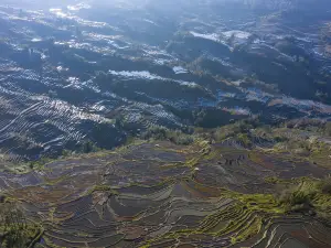 Nanuo Terraced Fields