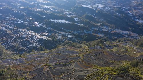 Nanuo Terraced Fields