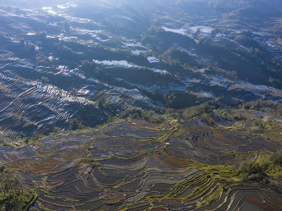 Nanuo Terraced Fields