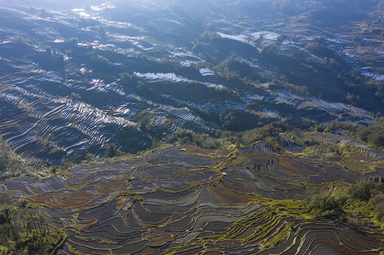 Nanuo Terraced Fields