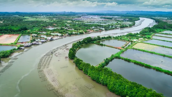 Xihuchengshi Wetland Park