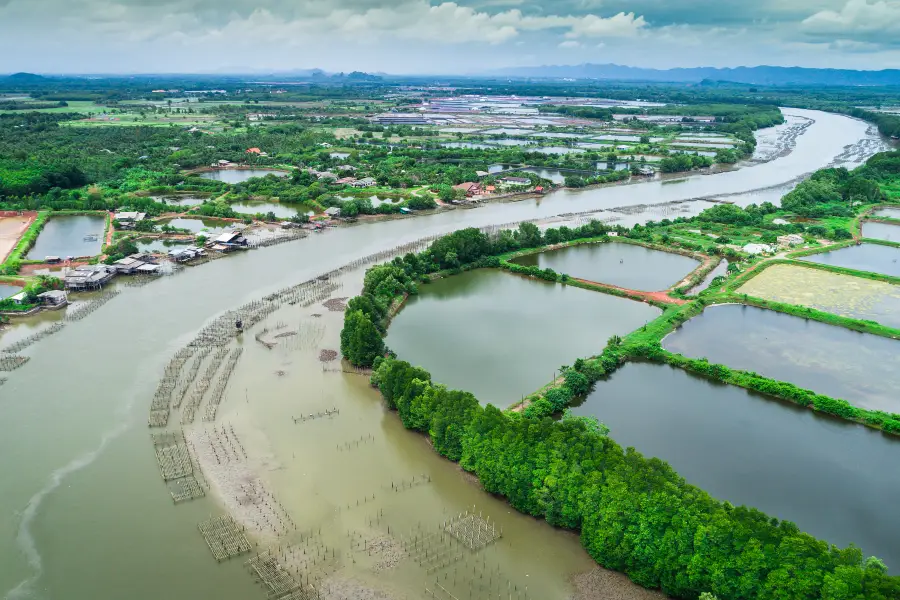 Xihuchengshi Wetland Park