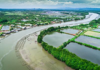 Xihuchengshi Wetland Park