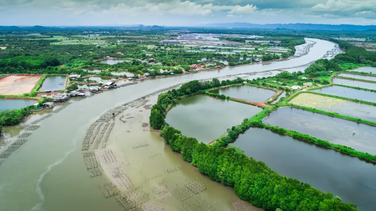 Hotels near Binjiang Ecology Park