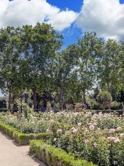 禹州森林植物園