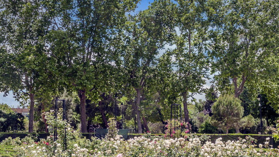 Yuzhou Forest Botanical Garden