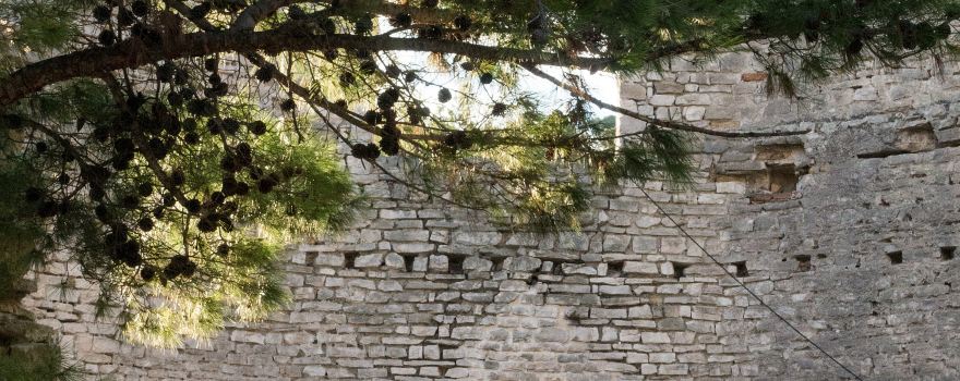 Mljet National Park