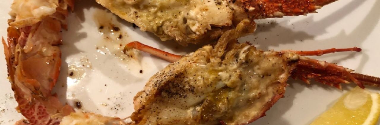 Japanese Cuisine & Teppanyaki Ten