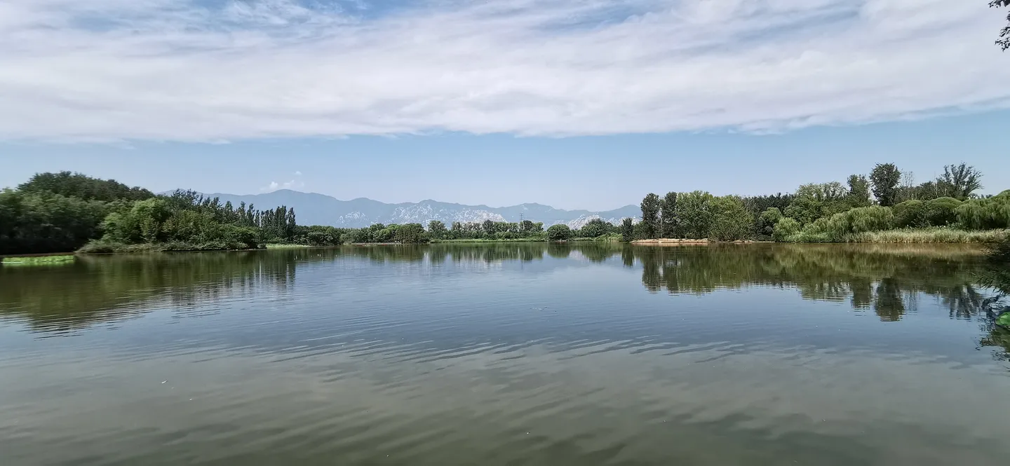 4_翠湖國家城市濕地公園